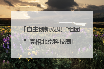 自主创新成果“组团”亮相北京科技周