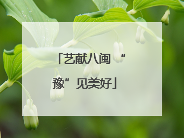 艺献八闽 “豫”见美好
