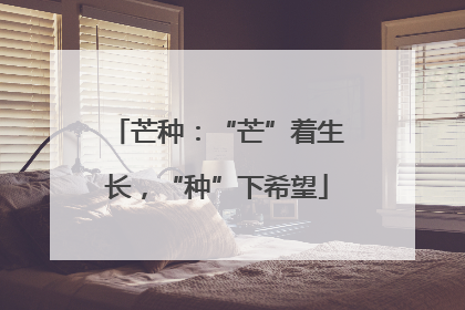 芒种：“芒”着生长，“种”下希望