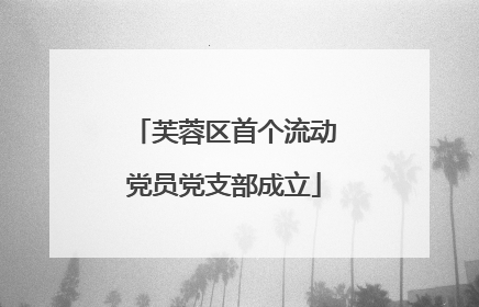 芙蓉区首个流动党员党支部成立