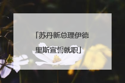 苏丹新总理伊德里斯宣誓就职