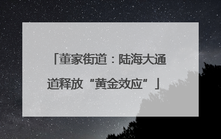 董家街道：陆海大通道释放“黄金效应”