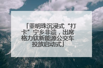 董明珠沉浸式“打卡”宁乡非遗，出席格力钛新能源公交车投放启动式