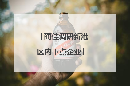 蔺佳调研新港区内重点企业