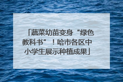 蔬菜幼苗变身“绿色教科书”！哈市各区中小学生展示种植成果
