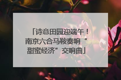 诗意田园迎端午！南京六合马鞍奏响“甜蜜经济”交响曲