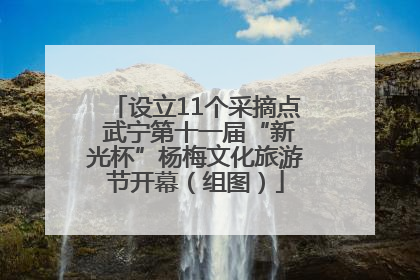 设立11个采摘点 武宁第十一届“新光杯”杨梅文化旅游节开幕（组图）
