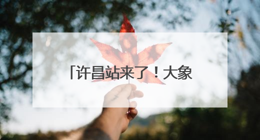 许昌站来了！大象新闻2025重点高校招生宣讲会