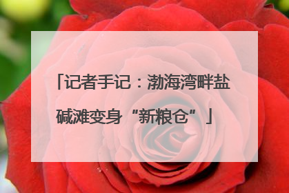 记者手记：渤海湾畔盐碱滩变身“新粮仓”