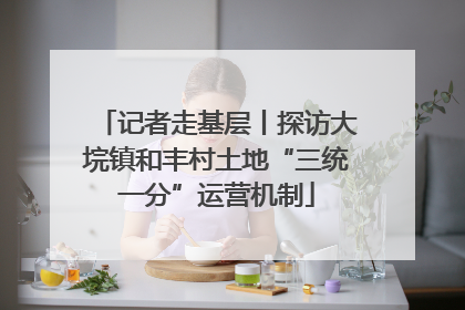 记者走基层丨探访大垸镇和丰村土地“三统一分”运营机制