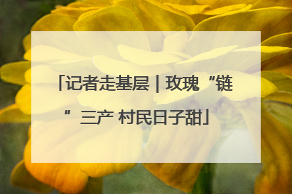 记者走基层｜玫瑰“链”三产 村民日子甜