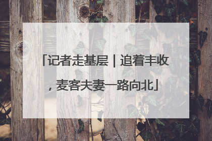记者走基层｜追着丰收，麦客夫妻一路向北