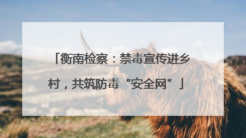 衡南检察：禁毒宣传进乡村，共筑防毒“安全网”