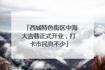 西城特色街区中海大吉巷正式开业，打卡市民真不少