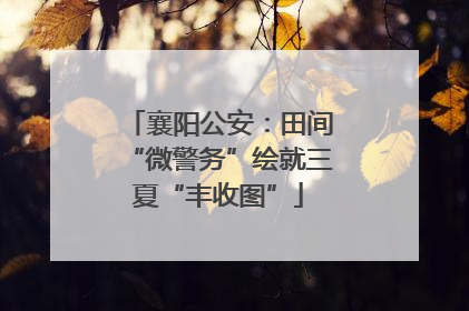 襄阳公安：田间“微警务”绘就三夏“丰收图”