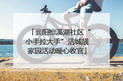 襄阳檀溪湖社区“小手拉大手”洁城靓家园活动暖心收官