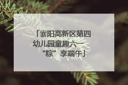 襄阳高新区第四幼儿园童趣六一 “粽”享端午