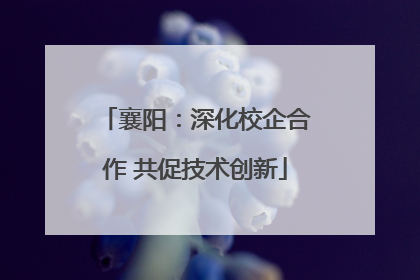 襄阳：深化校企合作 共促技术创新