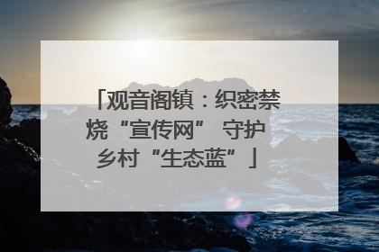观音阁镇：织密禁烧“宣传网” 守护乡村“生态蓝”