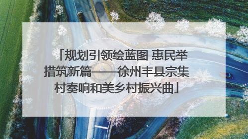 规划引领绘蓝图 惠民举措筑新篇——徐州丰县宗集村奏响和美乡村振兴曲