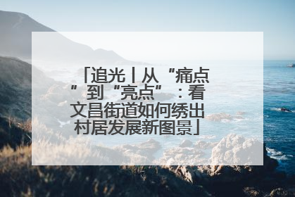 追光丨从“痛点”到“亮点”：看文昌街道如何绣出村居发展新图景