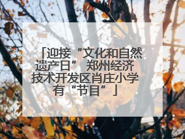 迎接“文化和自然遗产日” 郑州经济技术开发区肖庄小学有“节目”