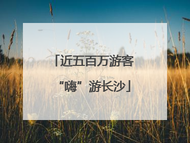 近五百万游客“嗨”游长沙