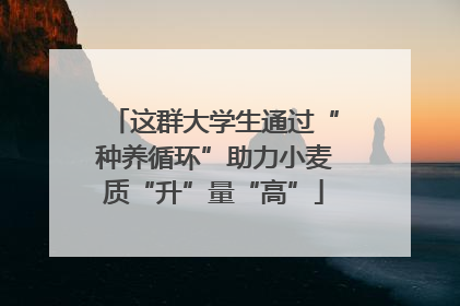 这群大学生通过“种养循环”助力小麦质“升”量“高”