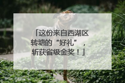 这份来自西湖区转塘的“好礼”，斩获省级金奖！