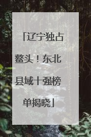 辽宁独占鳌头！东北县域十强榜单揭晓