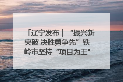 辽宁发布｜“振兴新突破 决胜勇争先”铁岭市坚持“项目为王”推进经济高质量发展