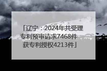 辽宁：2024年共受理专利预审请求7468件 获专利授权4213件