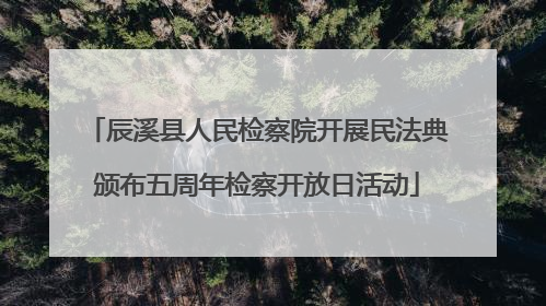 辰溪县人民检察院开展民法典颁布五周年检察开放日活动