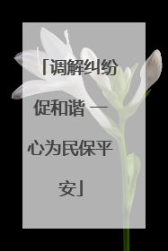 调解纠纷促和谐 一心为民保平安