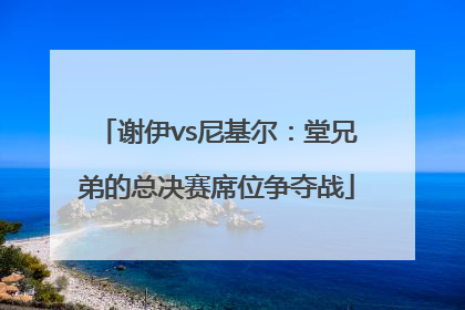 谢伊vs尼基尔：堂兄弟的总决赛席位争夺战
