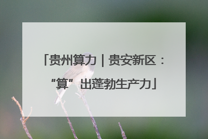 贵州算力｜贵安新区：“算”出蓬勃生产力