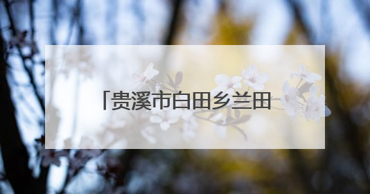 贵溪市白田乡兰田村：筑牢防溺“安全网”，共护生命“平安线”（图）