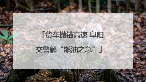 货车抛锚高速 阜阳交警解“燃油之急”