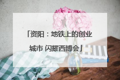 资阳：地铁上的创业城市 闪耀西博会
