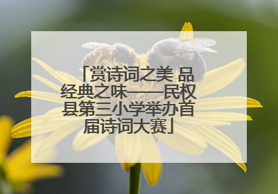 赏诗词之美 品经典之味——民权县第三小学举办首届诗词大赛