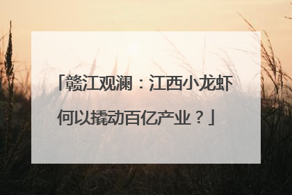 赣江观澜：江西小龙虾何以撬动百亿产业？