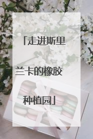 走进斯里兰卡的橡胶种植园