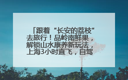 跟着“长安的荔枝”去旅行！品岭南鲜果，解锁山水康养新玩法，上海3小时直飞，自驾高速费优惠