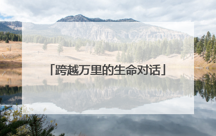 跨越万里的生命对话