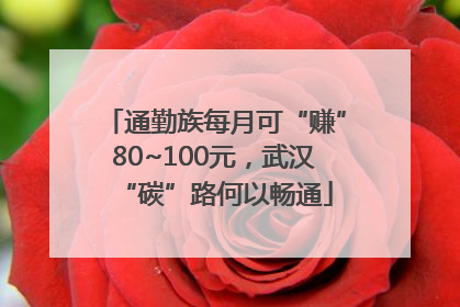 通勤族每月可“赚”80~100元，武汉“碳”路何以畅通