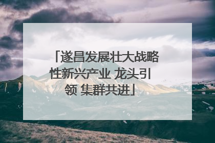 遂昌发展壮大战略性新兴产业 龙头引领 集群共进
