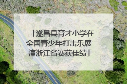 遂昌县育才小学在全国青少年打击乐展演浙江省赛获佳绩