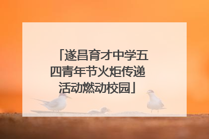 遂昌育才中学五四青年节火炬传递活动燃动校园