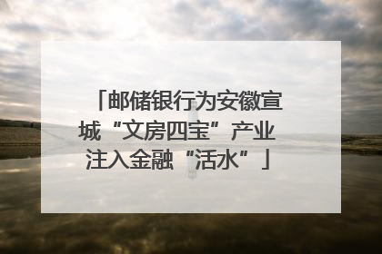 邮储银行为安徽宣城“文房四宝”产业注入金融“活水”