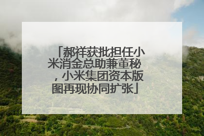 郝祥获批担任小米消金总助兼董秘，小米集团资本版图再现协同扩张